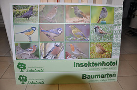 Lehrtafel