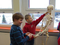 Gestatten, Otto