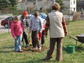 Der Baum wird fest angetreten.