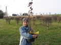 Die B�ume habe ich f�r den Schulwald mitgebracht.