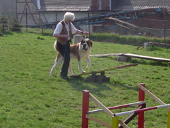Frau Jen&szlig;en mit Berhardiner