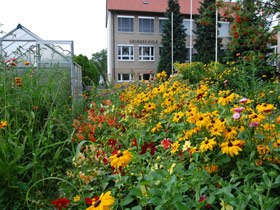Gew&auml;chshaus