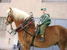 Stolzer Reiter
