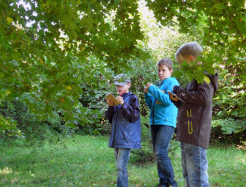 Sch&uuml;ler im Schulwald