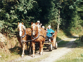 Kutschfahrt